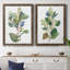 «Seeded Eucalyptus I», ensemble de 2 reproductions d'art sur toile-1047157798-1047157819
