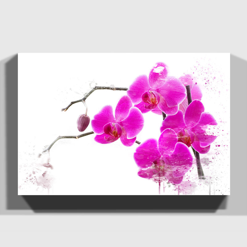 Flower Pink Orchid - Wall Art, 40cm H x 60cm W, Wrapped Canvas