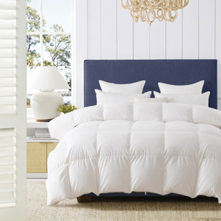 Édredon en duvet matelassé toutes saisons en duvet d'oie avec housse de couette en duvet de coton-450