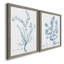 "Antique Botanical In Blue VII", ensemble de 2 peintures sur toile encadrées-1089950153-1089950144