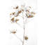 Branches de coton - impression de chambre à coucher scandinave-551035880-551035881