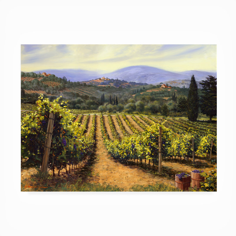 Michael Swanson, toile d'extérieur «Tuscany VInes», H 14 po x l 19 po x P 1,5 po