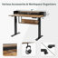 Koedy Height Adjustable Standing Desk-137651843-137651842
