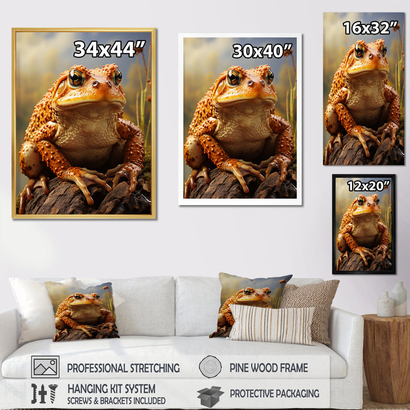 «Classic Frog Portrait I» sur toile, Cadre flottant blanc, H 32 po x l 16 po x P 1 po
