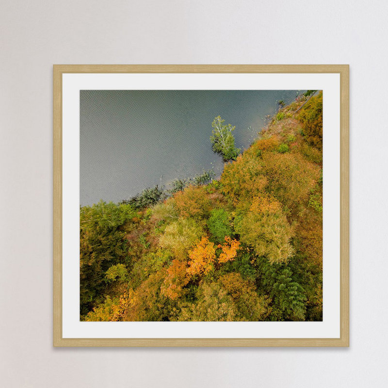 Karolis Janulis - Single Picture Frame Print, 41 cm H x 41 cm W x 3.81 cm D