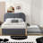Upholstered Platform Bed with Wood Supporting Feet and Trundle Aevah-1784054969-1784054970