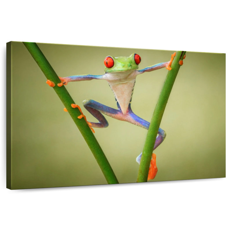 Frog Show Off, 34" H x 51" W