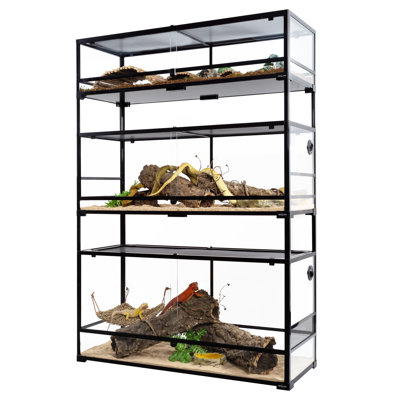 Reptile Starter Kit