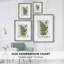 Greenhouse Fern II, reproduction encadrée - bois massif