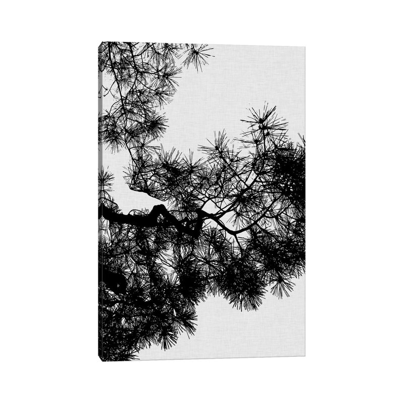 Pine Tree by Orara Studio - Wrapped Canvas Print, 20.32 cm H x 30.48 cm W