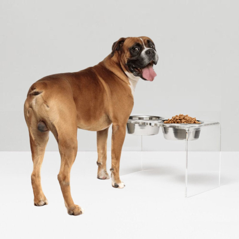 Tall Clear Elevated Feeder with Bowls, Silver, Clear