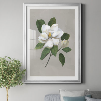 " Botanical Magnolia " Painting Print