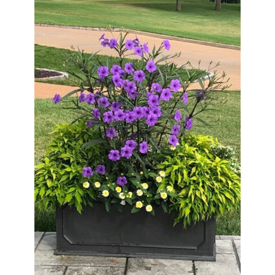 Berenice Handmade Pot Planter