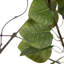 Cotinus Coggygria artificiel en pot vert-23267586