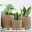 Decorative Planters Set of 3, Gold Metal Plant Pots with Legs