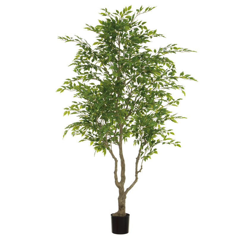8'FICUS TREE(PLASTIC POT(Knock Down)