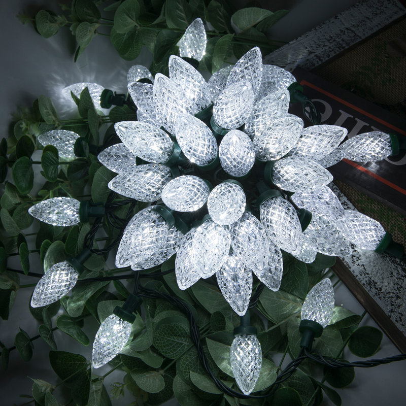 C9 LED Christmas Garland, Blanc, L 81 pi