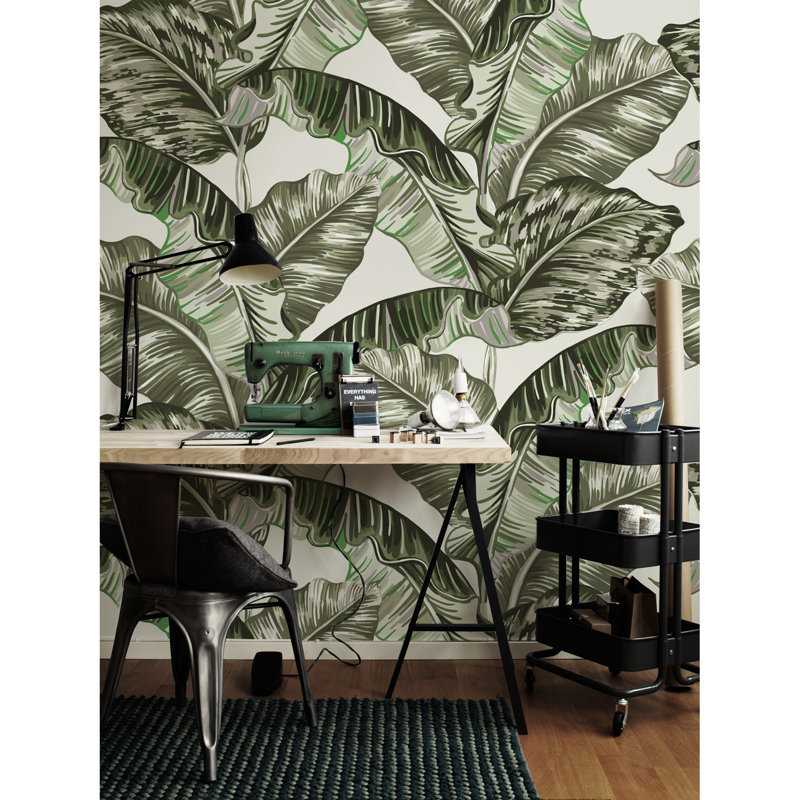 Callier 2.5m x 2.5m Matte Mural, 416 x 254cm