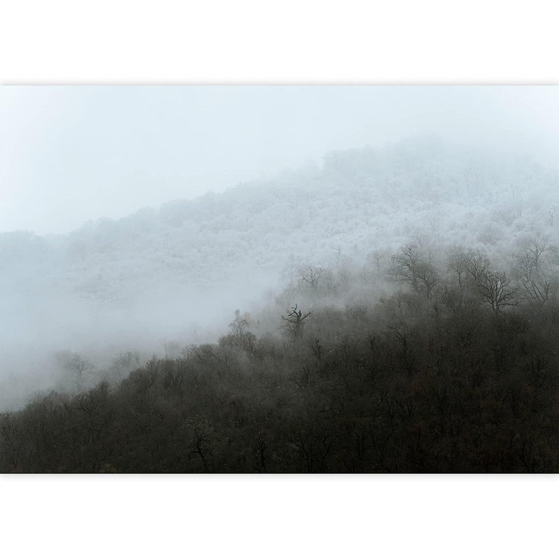 Peel & Stick Border, 66" L x 96" W