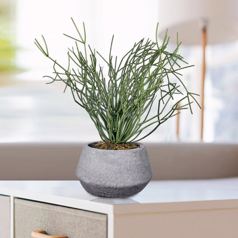 18'' Faux Cactus Plant in Ceramic Pot, Green