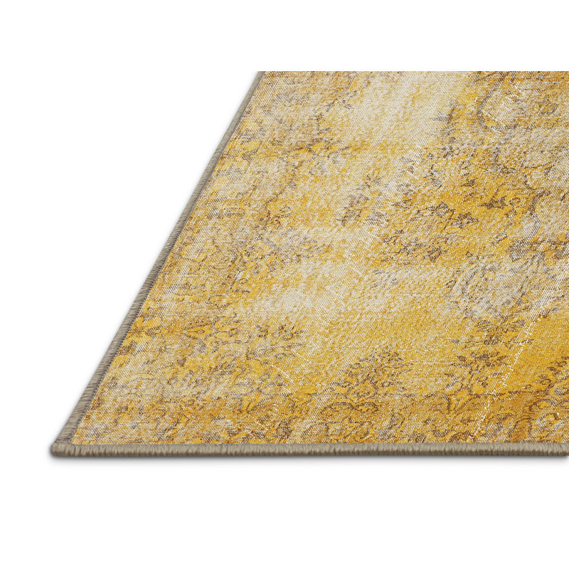 Akeba Oriental Indoor Rug, Rectangle 5' x 7'