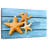 Rustic Starfish-1149693205