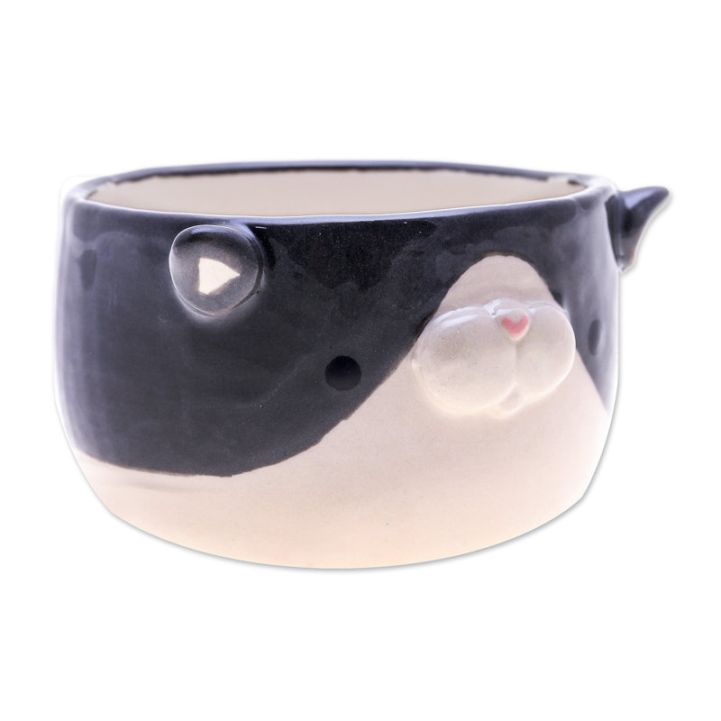Dakota Fields Handmade Tuxedo Blossoming Ceramic Flower Pot