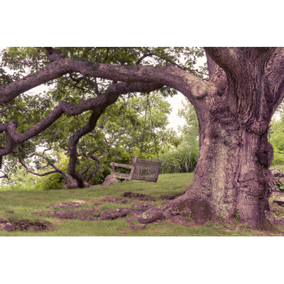 " Oak Tree "