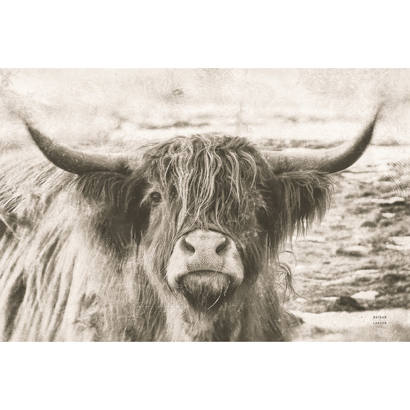 You Have My Attention by Nathan Larson - Wrapped Canvas Art Prints, 20cm H x 30cm W 3.8cm D