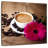 Yarlin Cappuccino-109216466
