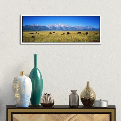 Field Of Bison With Mountains In BackgroundGrand Teton National Park, Wyoming, USA by Panoramic Images - Panoramic Gallery-Wrapped Canvas Giclée on Canvas
