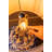 Buschi Ceramic Table Lamp