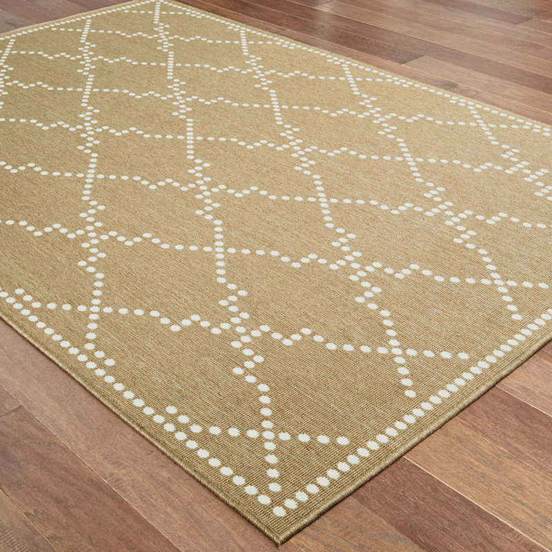 Tapis intérieur / extérieur Anastasaos, Rectangle 5 pi 3 po x 7 pi 6 po