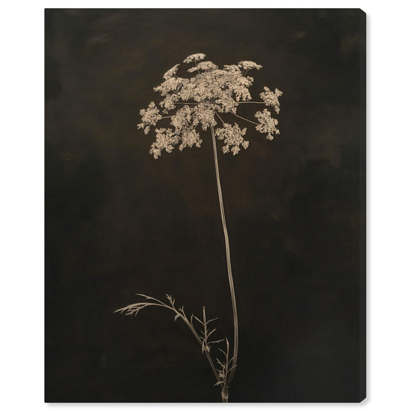 Starlit Bloomfall Canvas Gothic Botanicals par Art Remedy, H 24 po x l 20 po, Toile tendue