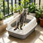 Bac à litière semi-fermé pour entrée de chat, 15,75 po x 12,2 po x 6,69 po, gris-131214351