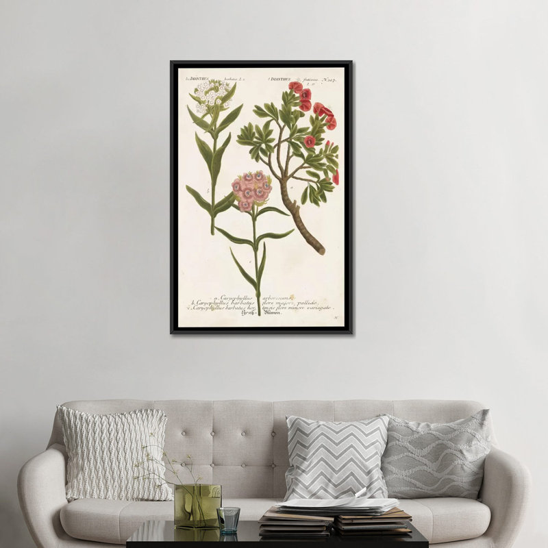 « botanique varietes iv », impression sur toile, H 60 po x l 40po x P 1,5 po, Toile avec cadre noir, Pas de tapis