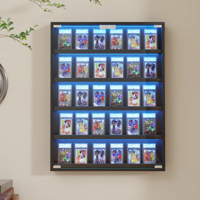 Display Cabinet
