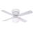 Shera 42'' Ceiling Fan with Light Kit-50132950