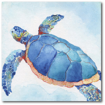 « galapagos sea turtle ii », reproduction d’art sur toile tendue