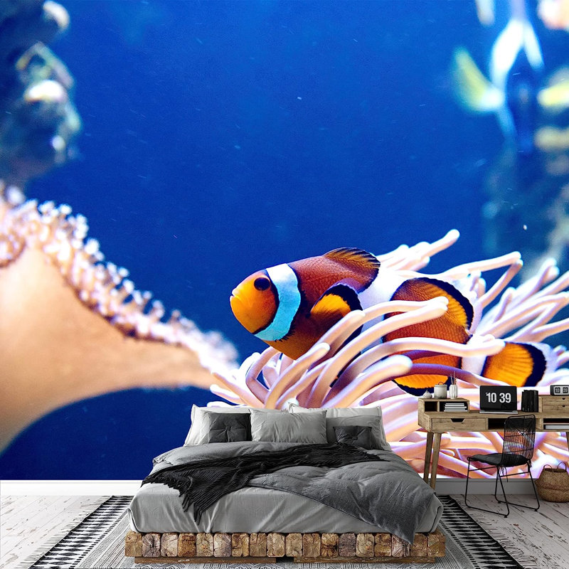 Murale à peindre Clownfish, L 100 po x l 144 po