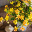 Tige de gaura en soie-1750131021-1750130998