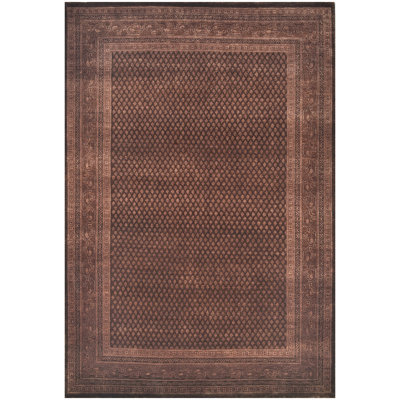 Hand Knotted Area Rug in Brown