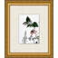 Studies Of Flowers 1 Print by Lillian August
