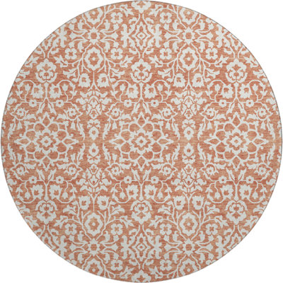 Premium Machine Washable Prisco Coral Rug