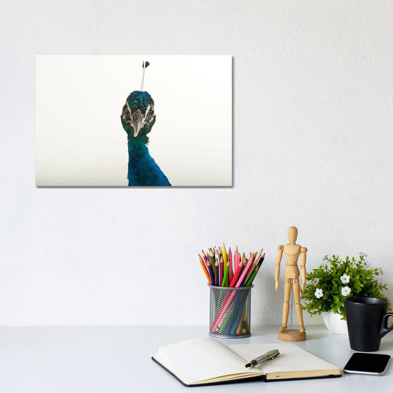 An Indian Blue Peafowl At The Lincoln Children's Zoo by Joel Sartore - Gallery-Wrapped Canvas Giclée on Canvas, Canvas