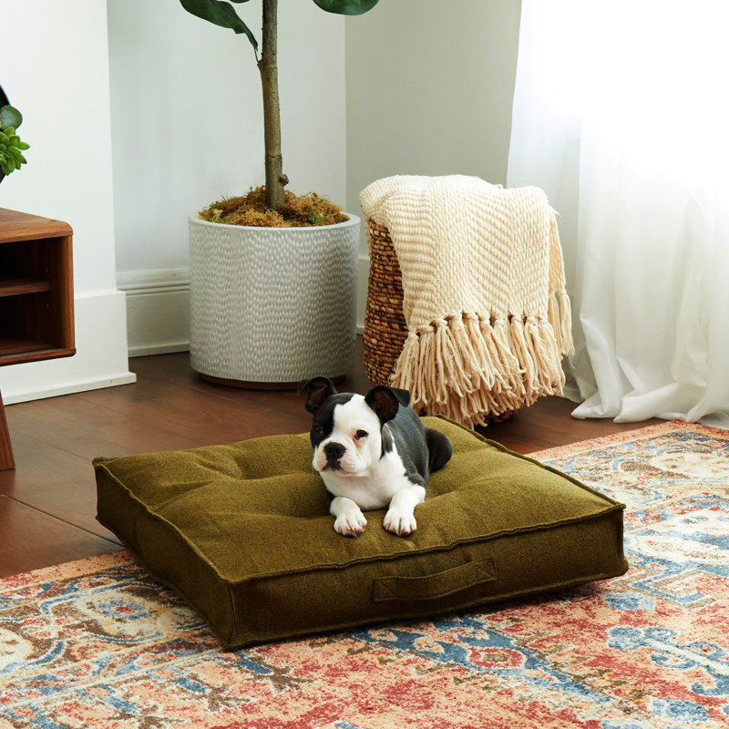 Lit pour chien Longwood, Petit (l 24 po x P 24 po x H 5 po), Moss