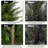 25?Cute Artificial  Cedar Potted Plant A Set