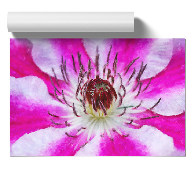 Pink Clematis Flower - No Frame Print, 42cm H x 59cm W x 0.1cm D
