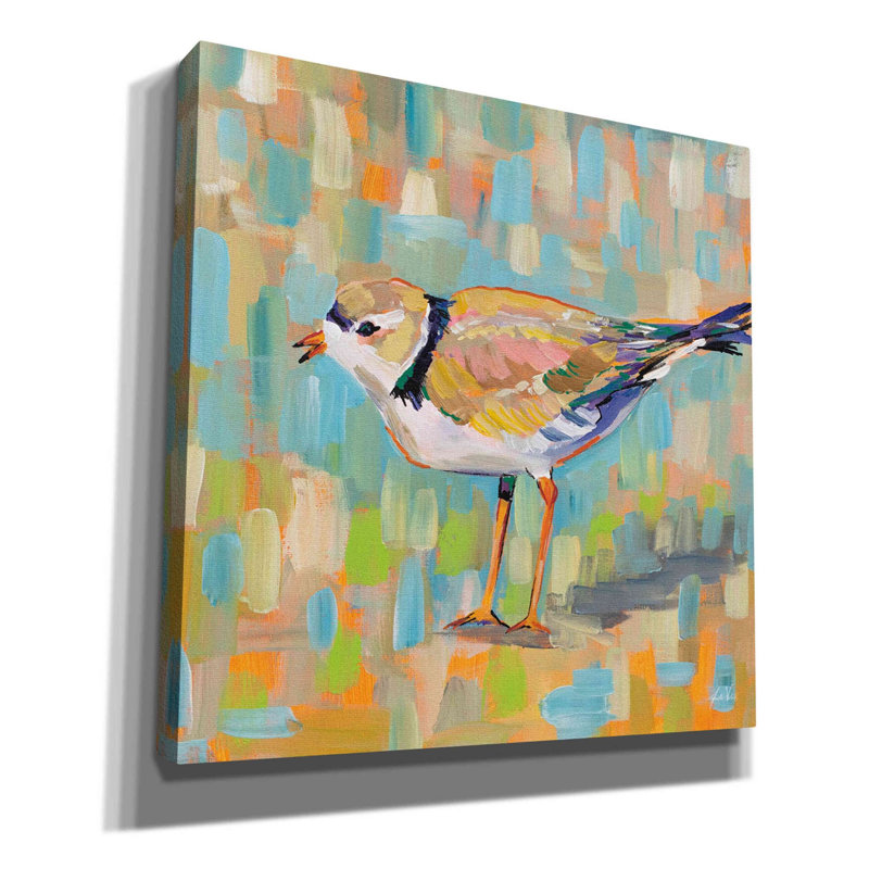 «Coastal Plover IV» par Jeanette Vertentes, art mural sur toile, H 18 po x l 18 po x P 0,5 po