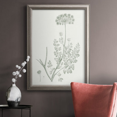 «Botanical Study in Sage V», reproduction d'art sur toile